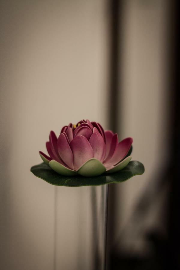 A Due Passi Dal Lumiere Bed and Breakfast Bologna Buitenkant foto
